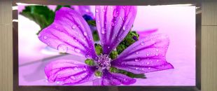 連鎖火鍋店老板哭訴：門頭LED廣告機(jī)讓我多賺了110萬(wàn)，但千萬(wàn)別學(xué)我踩這3個(gè)坑！”